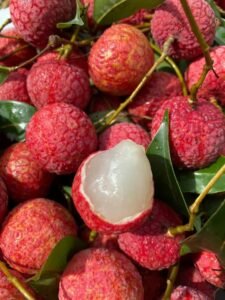 Shop Tropical Fruits Online USA
