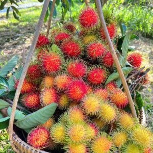 Tropical Fruit Store Online USA