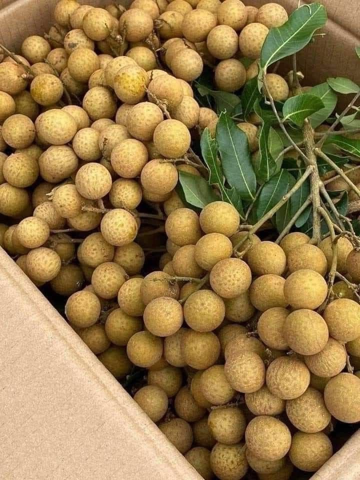 Exotic Fruits for Sale USA