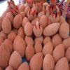Order Exotic Fruits Online USA
