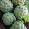 Rare Tropical Fruits for Sale USA
