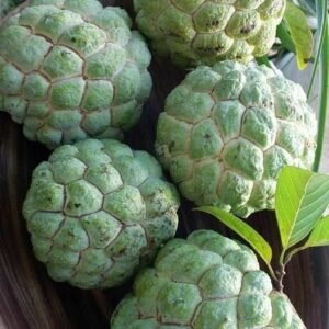 Rare Tropical Fruits for Sale USA