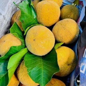 Santol for Sale in quality tropical fruits