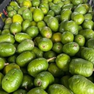 Tropical Fruit Box Delivery USA