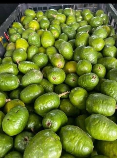 Tropical Fruit Box Delivery USA