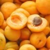 Buy Fresh Loquats Online from quality tropical fruits