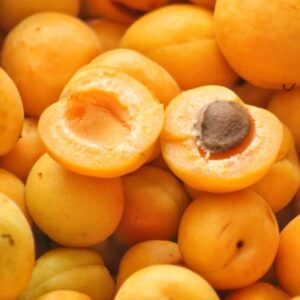 Buy Fresh Loquats Online from quality tropical fruits
