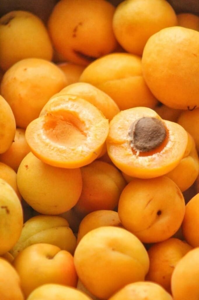 Organic Tropical Fruits for Sale