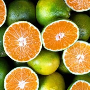 Premium Tropical Fruits for Sale USA