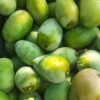 Mango Varieties for Sale from quality tropical fruits