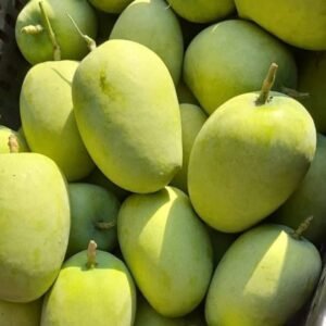 tropical fruits shipped nationwide